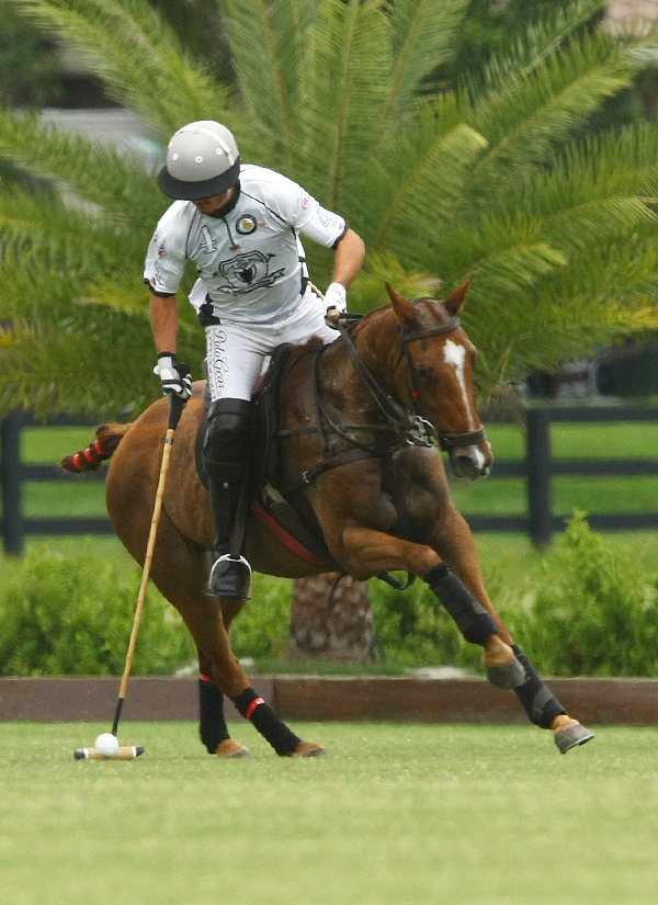 uspa sun cup final pacheco photos polo mag 9