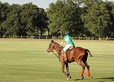 USPA Membership