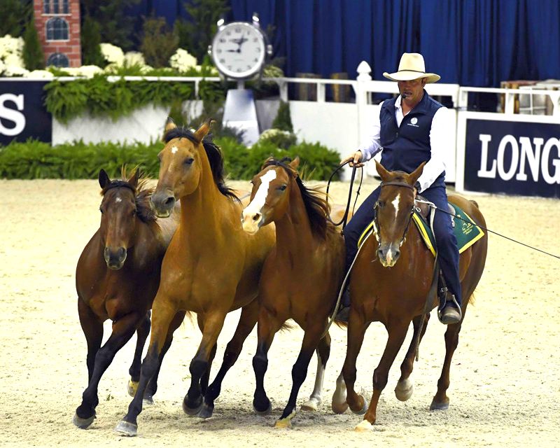 Australian sensation Guy McLean to join Elise Gaston Chand on Friday's episode of Because of Horses