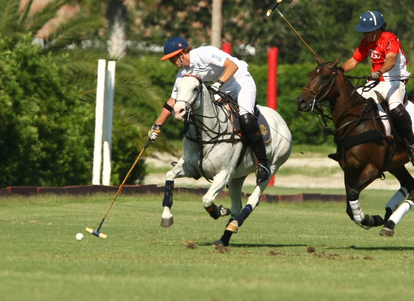 Audi vs. ELG polo team photos by Alex Pachecoh